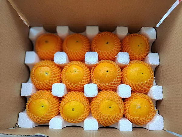 職業(yè)健康安全管理體系認(rèn)證證書(shū)